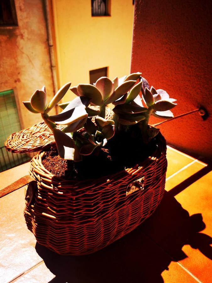Cornu Karma Apartment Siuranella Cornudella de Montsant Exterior photo